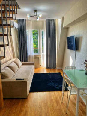 Lovely Apartment in Chisinau